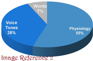 Pie chart of non-verbal communication